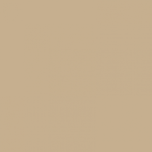 Краска Paint and Paper Library цвет Leather V 235