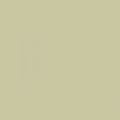 Краска Paint and Paper Library цвет Willow V 535