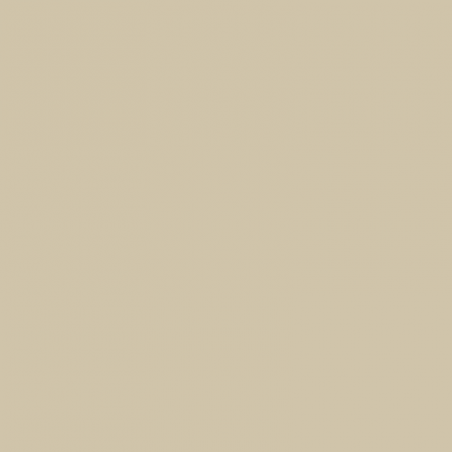 Краска Paint and Paper Library цвет Canvas IV 304