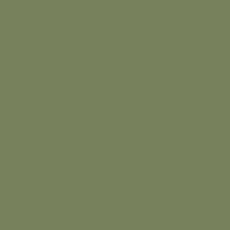 Краска Little Greene цвет Sage Green 80, код 14482