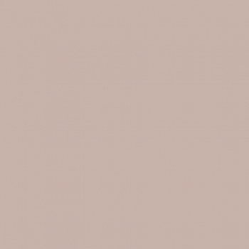 Краска Paint and Paper Library цвет Plaster V 405