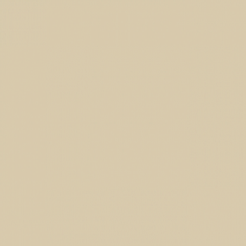 Краска Paint and Paper Library цвет Sand V 265