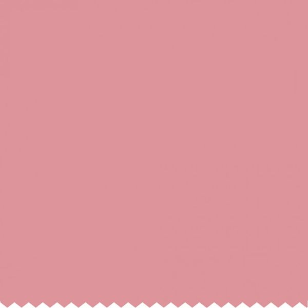 цвет Призрак Розы 224