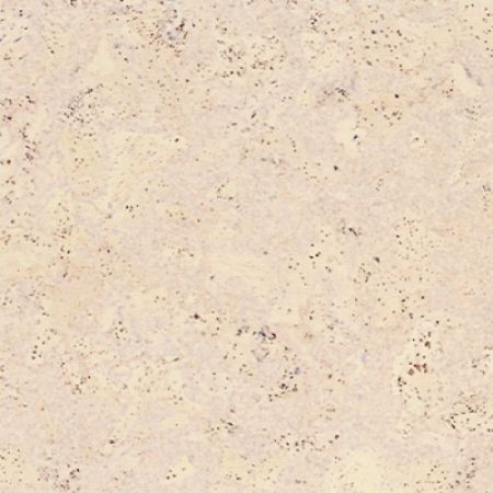 Пробковые полы Corkstyle Corkwise Madeira White 915×305×4