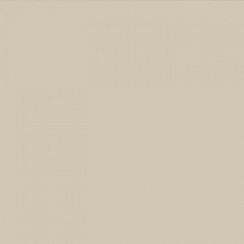 Краска Paint and Paper Library цвет Stone IV 204