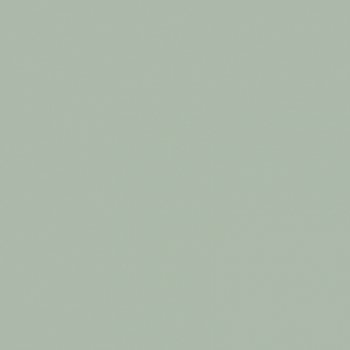 Краска Paint and Paper Library цвет Glass V 585