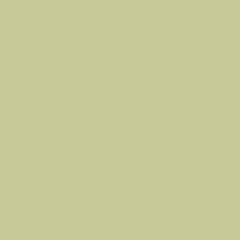 Краска Little Greene  Colours of England Краска Little Greene цвет Kitchen Green 85