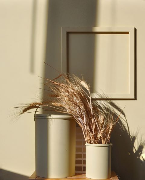 Краска Lanors Mons цвет Пчелиный воск Beeswax 190