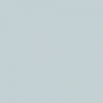 Краска Paint and Paper Library цвет Porcelain IV 664