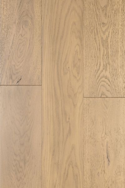 Дуб Белло Bello