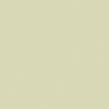 Краска Paint and Paper Library цвет Willow IV 534