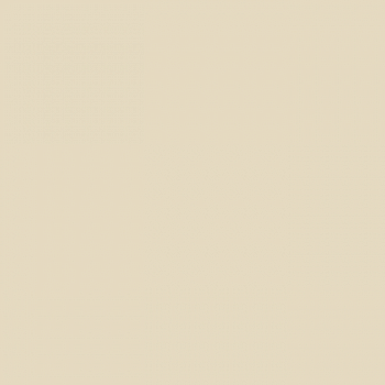 Краска Paint and Paper Library цвет Sand IV 264