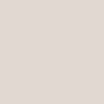 Краска Paint and Paper Library цвет Plaster III 403