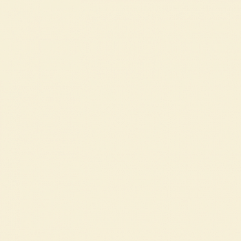 Краска Paint and Paper Library цвет Clay II 502