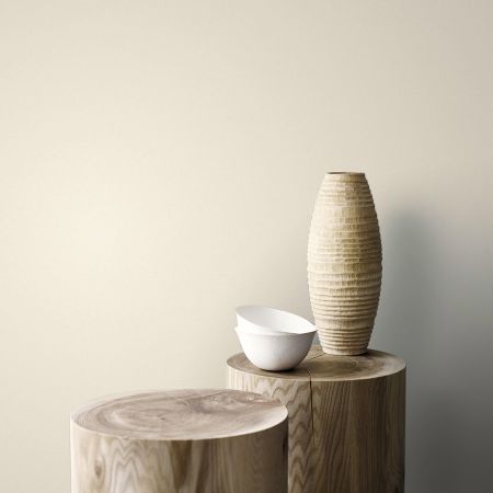 Краска Sanderson цвет Dusky White