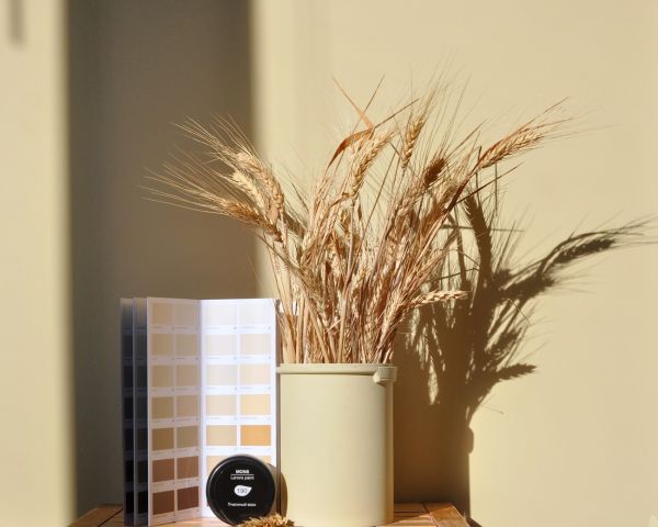 Краска Lanors Mons цвет Пчелиный воск Beeswax 190