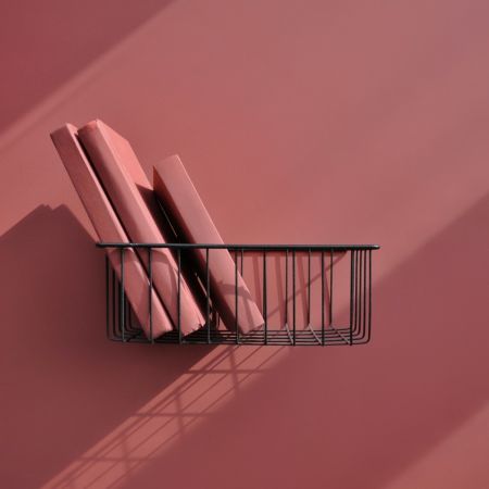 Краска Lanors Mons цвет Кармин Carmine 193