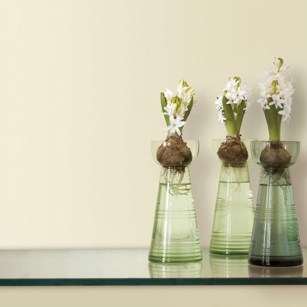 Краска Sanderson цвет Morning Dew Light