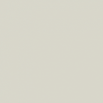 Краска Paint and Paper Library цвет Slate V 165