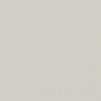 Краска Paint and Paper Library цвет Salt III 333