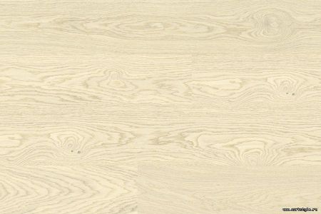 Пробковые полы Corkstyle Wood XL Oak  White Markant