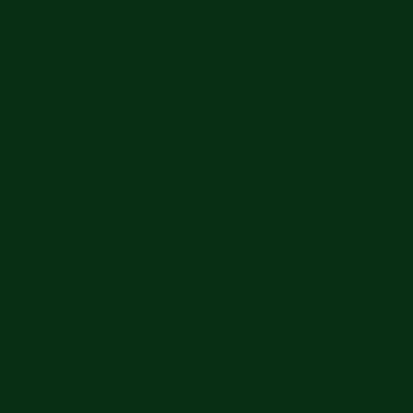 Краска Little Greene цвет Dark Brunswick Green 88
