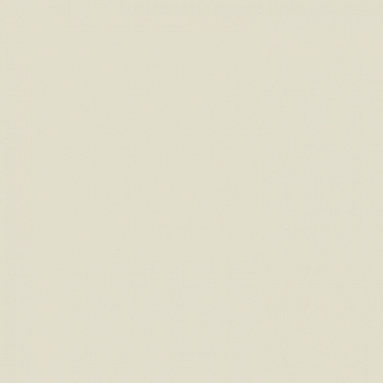 Краска Paint and Paper Library цвет Canvas II 302