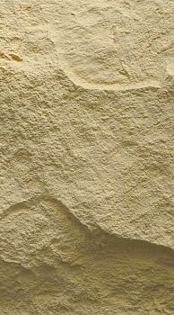 Стеновые панели Neogrupp из полиуретана Mushroom stone 1200*600*20~100