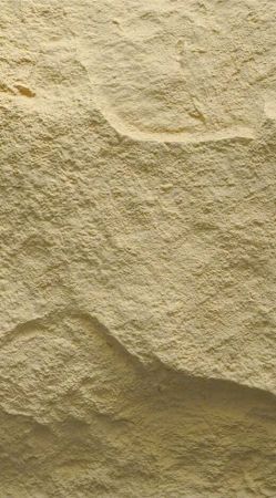 Стеновые панели Neogrupp из полиуретана Mushroom stone 1200*600*20~100