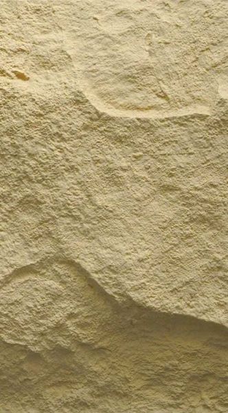 Стеновые панели Neogrupp из полиуретана Mushroom stone 1200*600*20~100