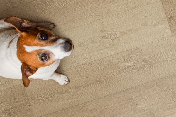 Кварц виниловое покрытие Floor Factor SPC Classic Barley Corn Oak art.13