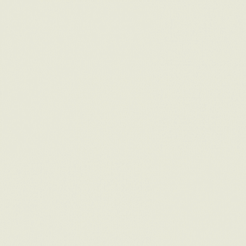 Краска Paint and Paper Library цвет Wattle II 562