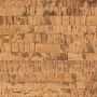 Пробковые полы Corkstyle Corkwise Linea 915×305×4