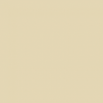 Краска Paint and Paper Library цвет Clay IV 504