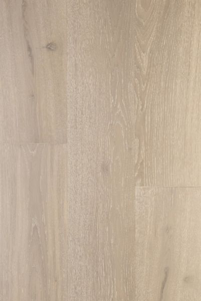 Дуб Аргенто Argento