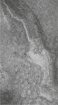 Гибкий камень Neo Rockcut Dolomitic Stone Grey 3-5x600x2800мм