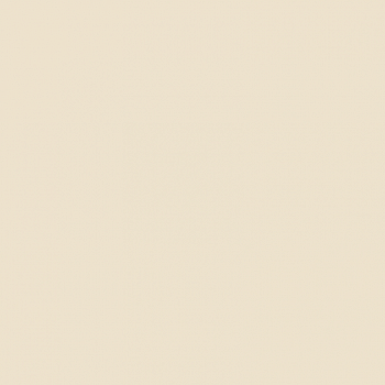 Краска Paint and Paper Library цвет Leather II 232