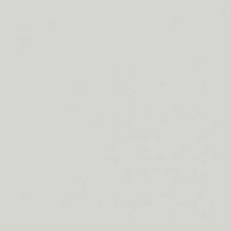 Краска Lanors Mons цвет Платина Platinum 83