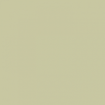 Краска Paint and Paper Library цвет Willow V 535