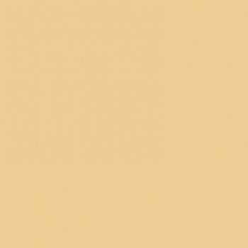 Краска Paint and Paper Library цвет Ivory V 465