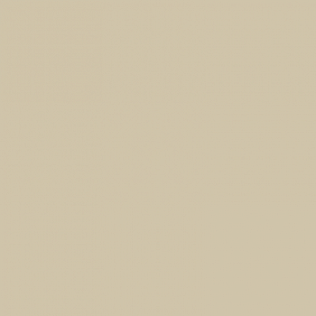 Краска Paint and Paper Library цвет Canvas IV 304