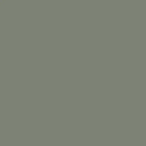 Краска Milq цвет RAL Cement grey 7033 