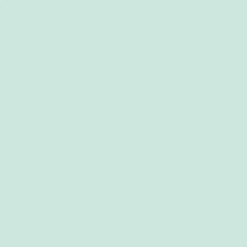 Краска Swiss Lake цвет Woolly Mint SL-2379 