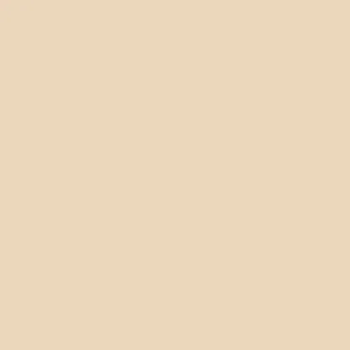 Краска Swiss Lake цвет Sunny Sand SL-0199 