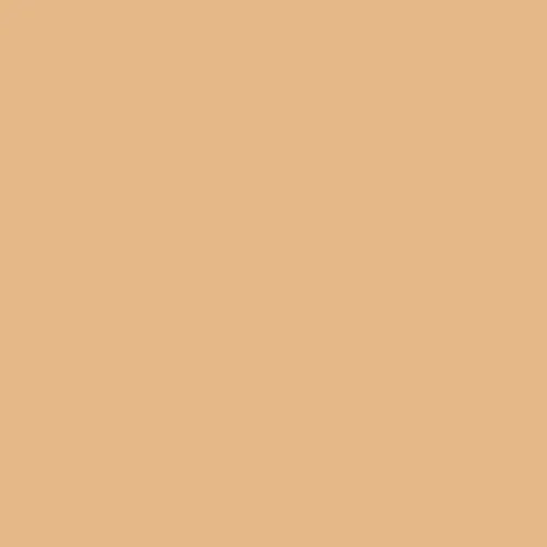 Краска Swiss Lake цвет Carmelized Orange SL-1148 