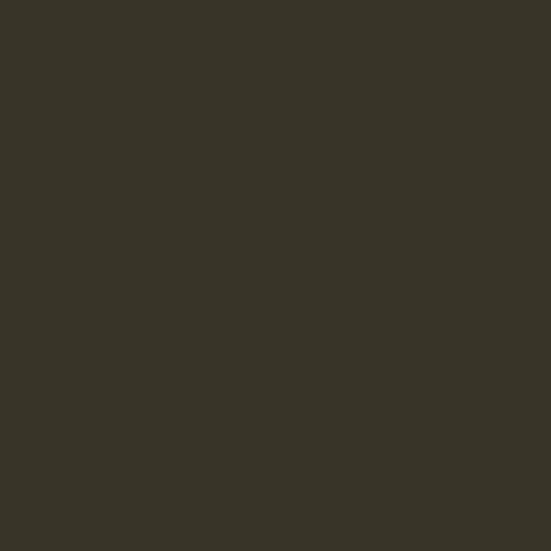 Краска Little Greene цвет Brown green RAL 6008 