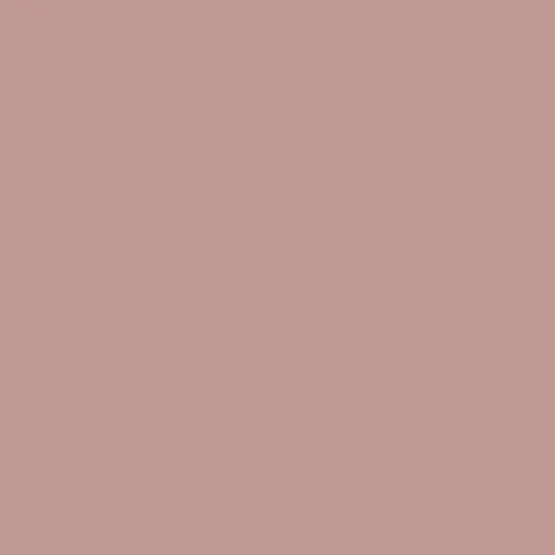 Краска Swiss Lake цвет Canyon Clay SL-1559 