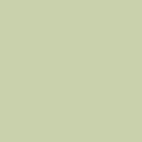 Краска Swiss Lake цвет Juicy Greens NC37-0818 