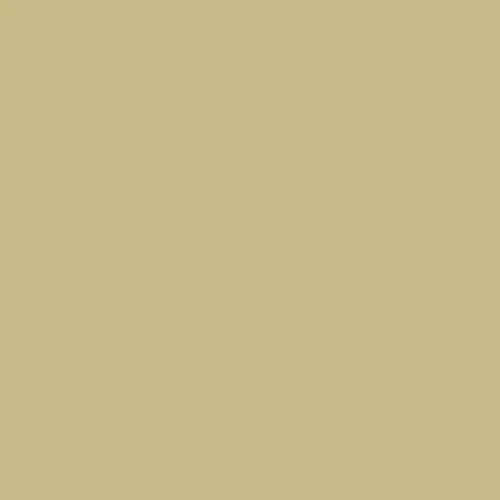 Краска Milq цвет RAL Green beige 1000 