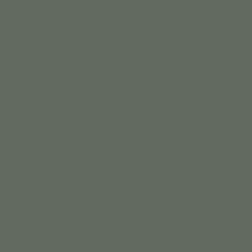 Краска Swiss Lake цвет Dark Olive SL-2648 